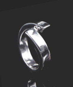 Zilveren ring met as