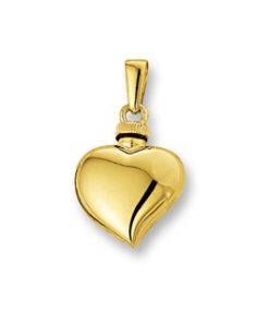 Gouden ashanger asymmetrisch hart
