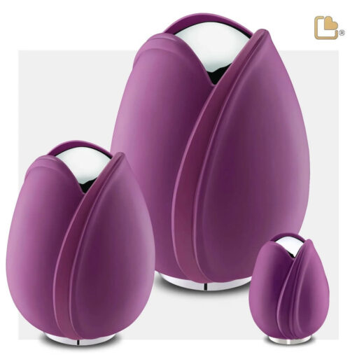 Tulp urn paars set