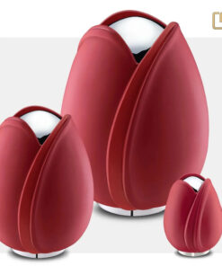 Tulp urn rood set