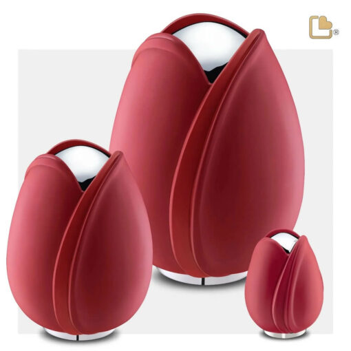 Tulp urn rood set