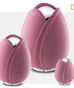 Tulp urn roze set