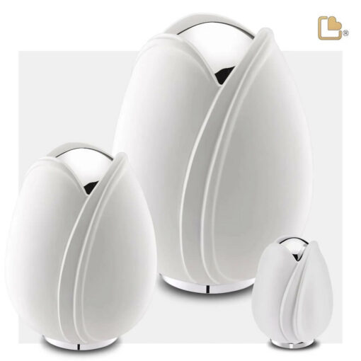 Tulp urn wit set