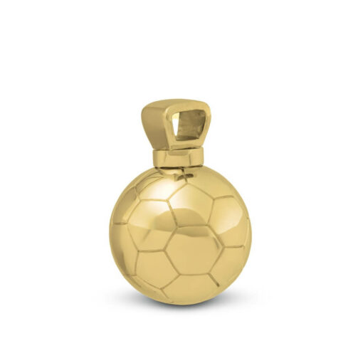 Gouden ashanger voetbal